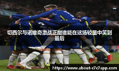 切西尔与诺维奇激战正酣谁能在这场较量中笑到最后